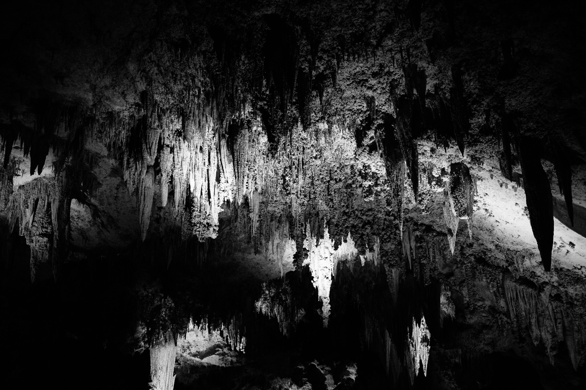 NATIONAL GEOGRAPHIC CARLSBAD CAVERNS visual data 5