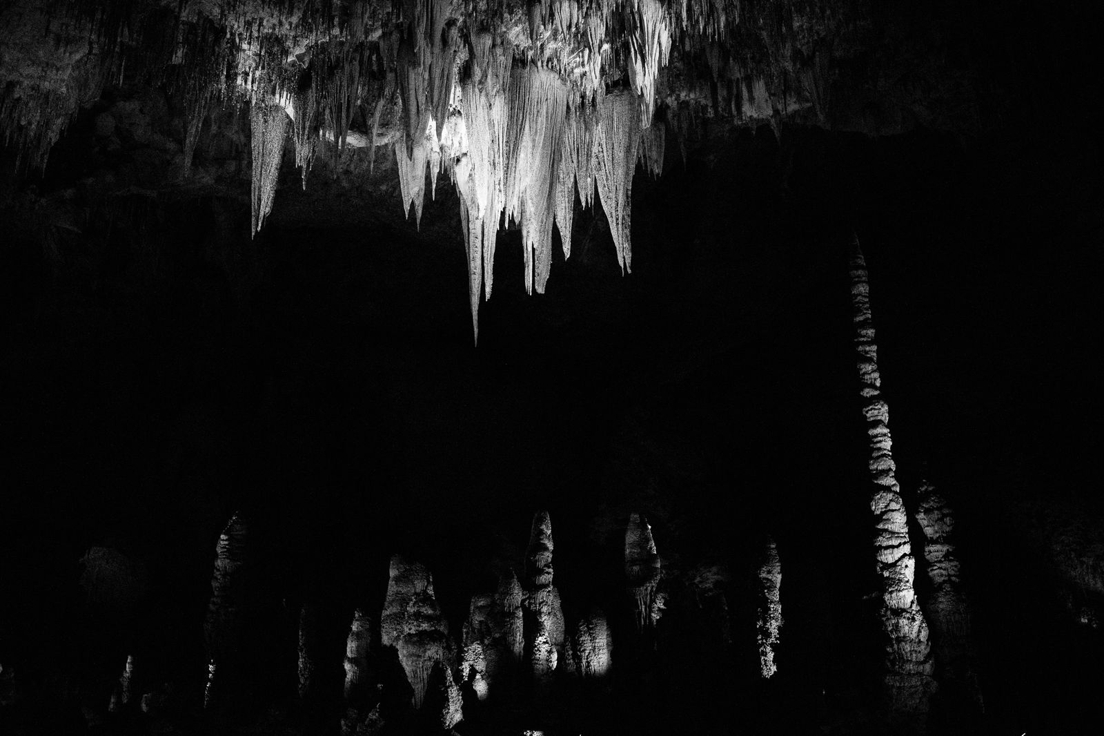 Carlsbad Caverns National Park Graphic Naturalist carlsbad-caverns-national-park-graphic-naturalist